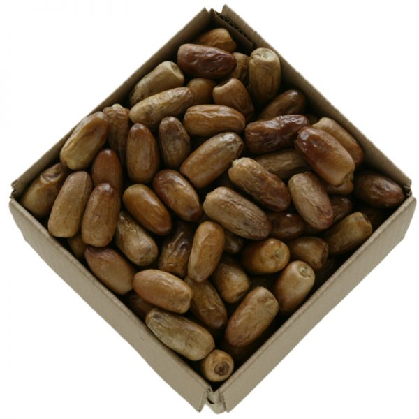 Premium Thoory Dates 5 Lbs.